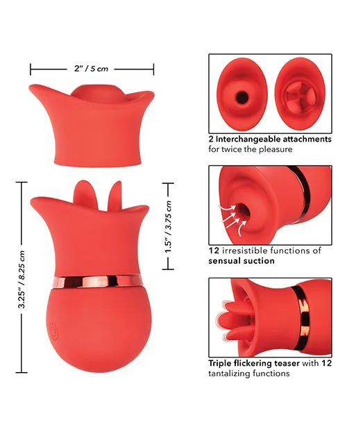 French Kiss Suck Play Interchangeable Set Red California Exotic Novelties Anal