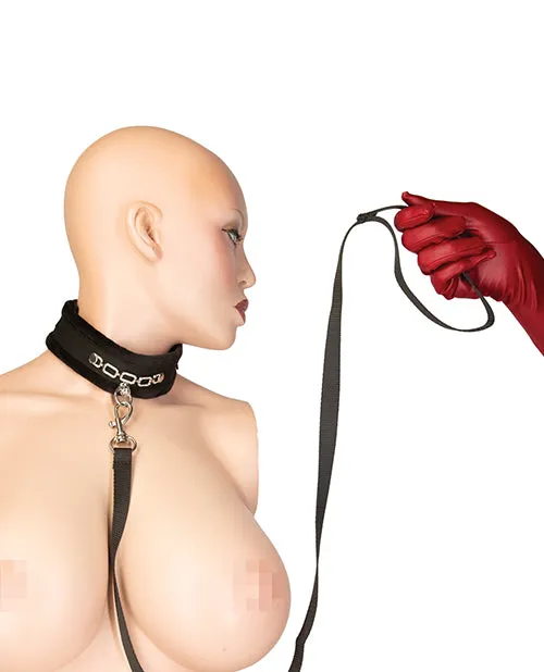 Punishment Crystal Detail Collar 37 Leash BMS Enterprises Anal Punishment Crystal Detail Collar 37 Leash BMS Enterprises Anal