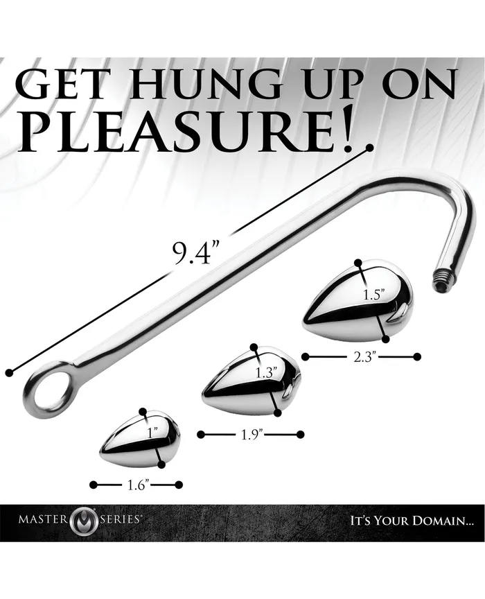Xr LLC Anal Master Series Anal Hook Trainer w3 Plugs Silver Xr LLC Anal Master Series Anal Hook Trainer w3 Plugs Silver